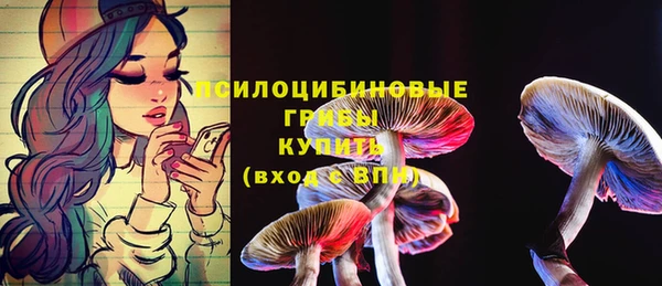 a pvp Заводоуковск
