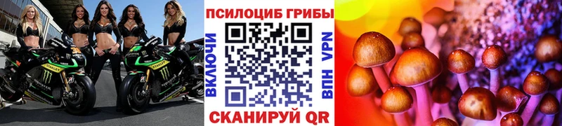 Галлюциногенные грибы ЛСД  Купить  Кудымкар 